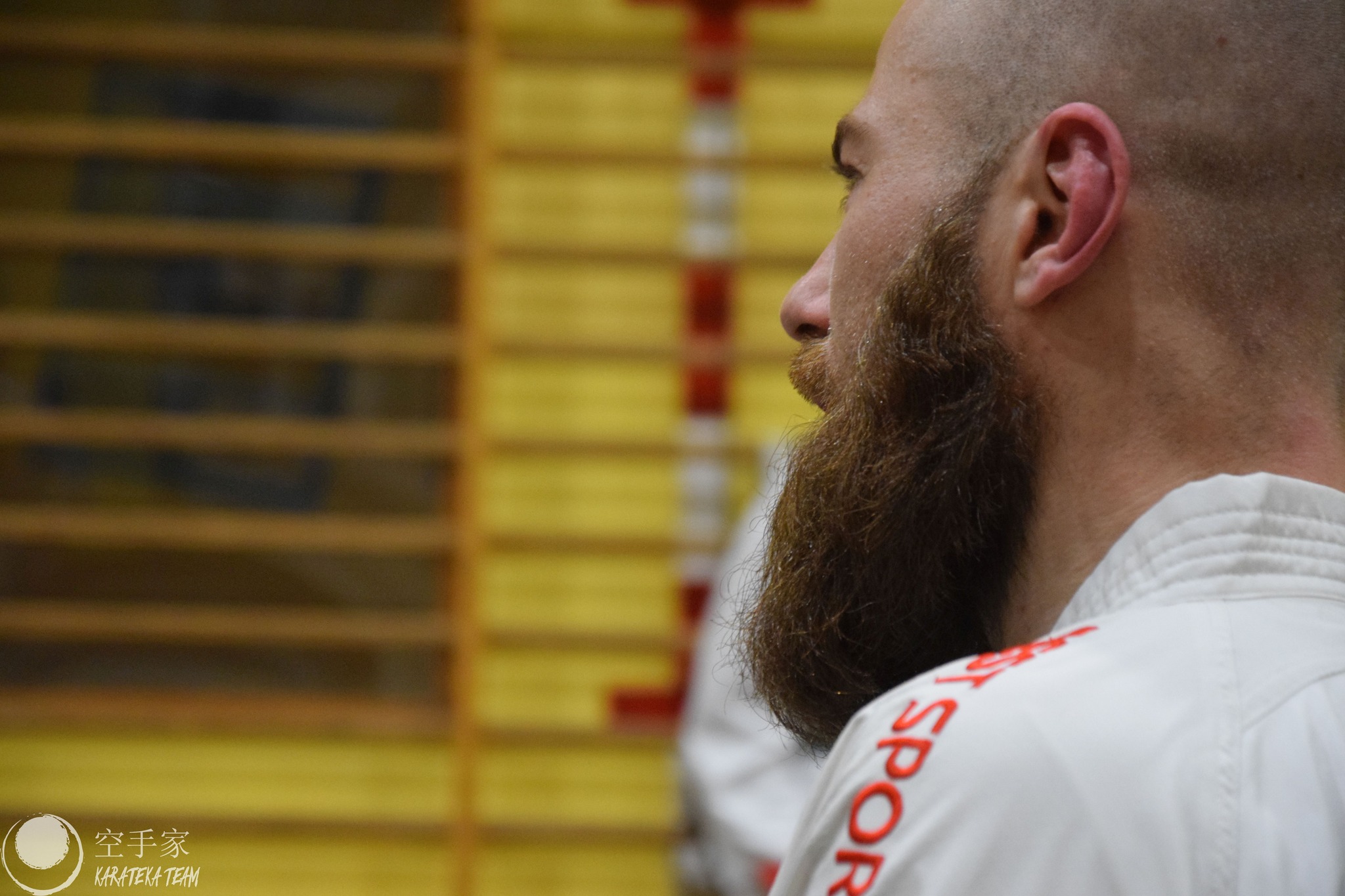 Trening z Sensei Albert Ciesielski