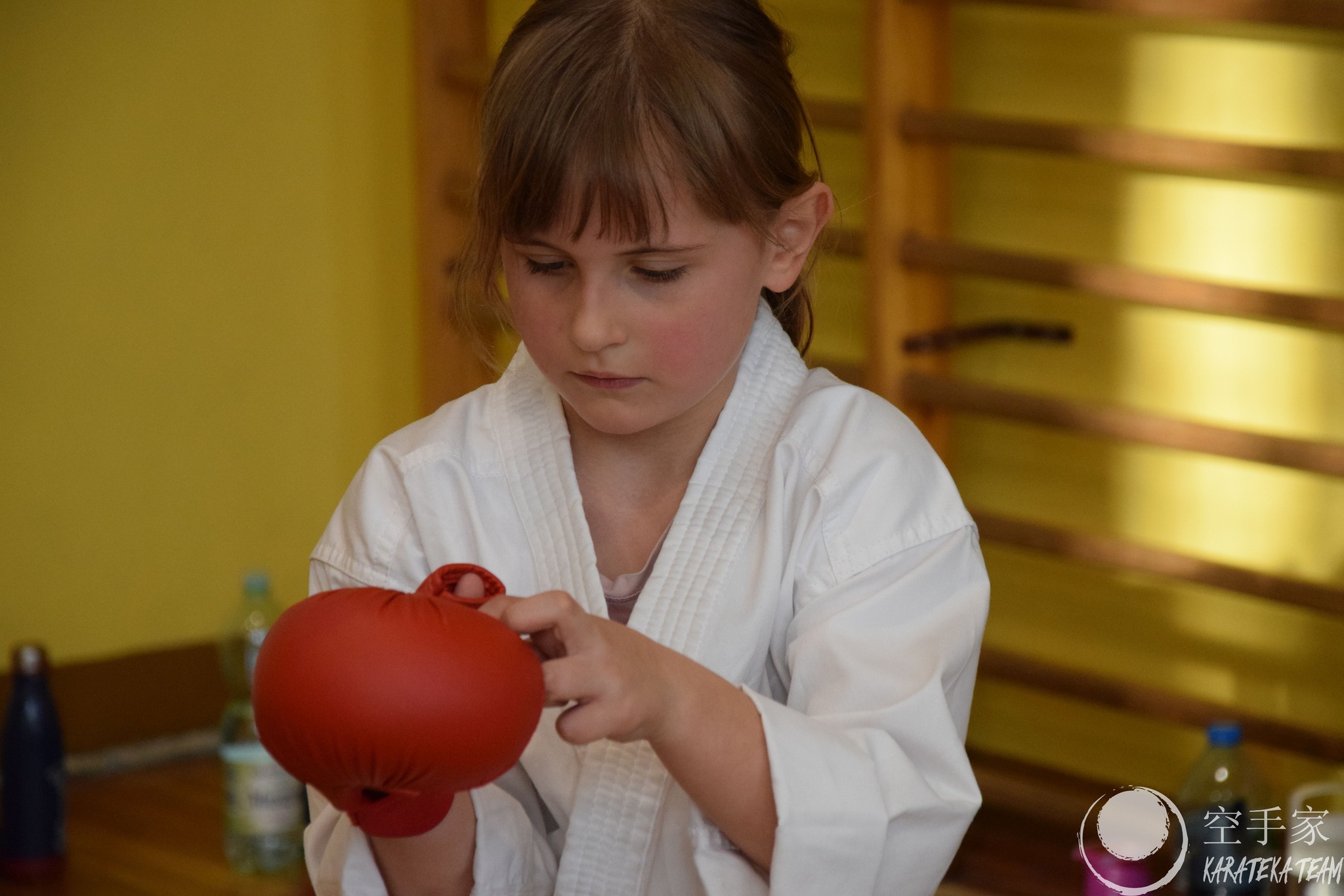 Gdzieś tutaj są Mistrzowie Świata