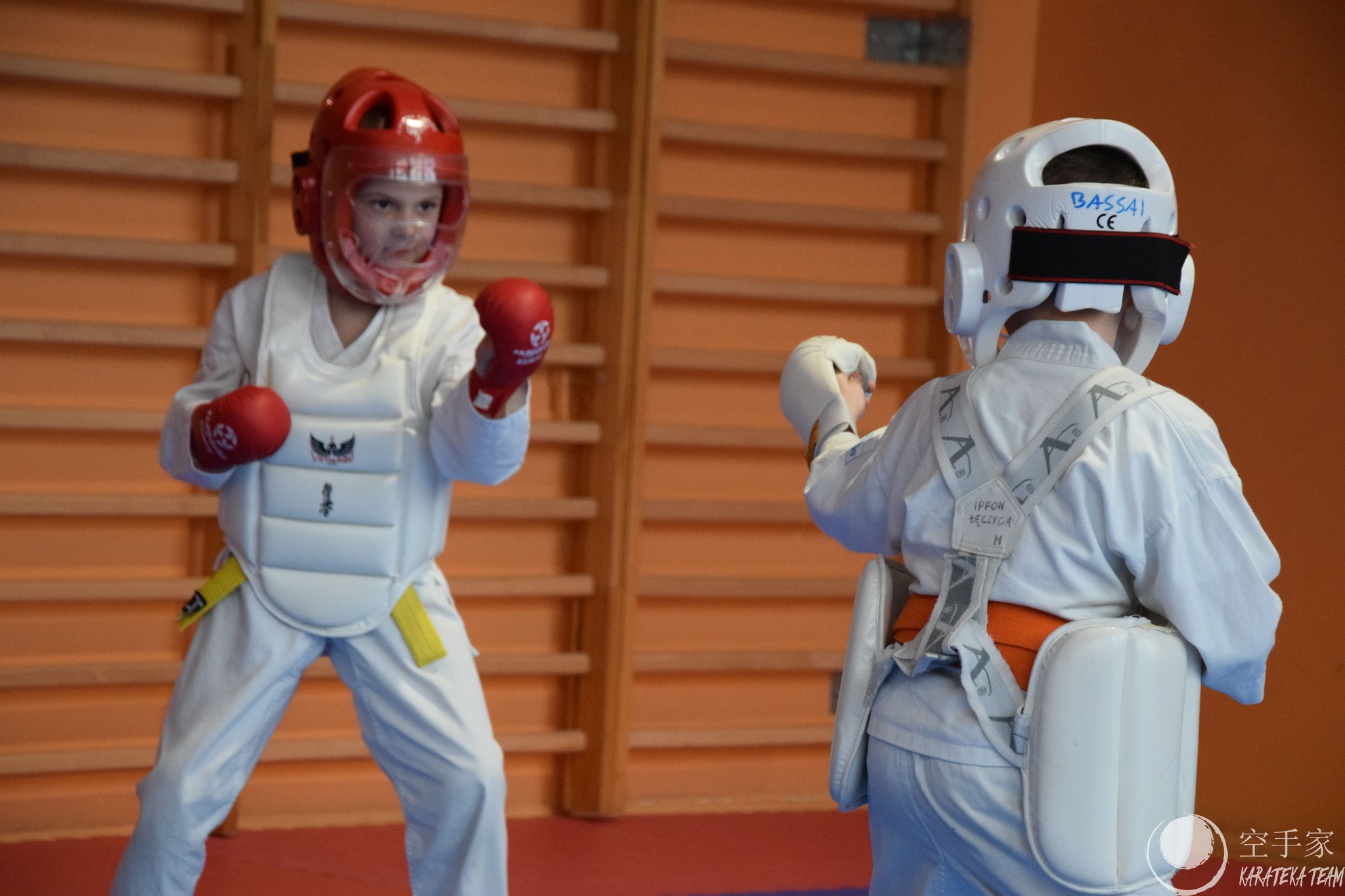 Młode Wilczki pokazały pazur!!!