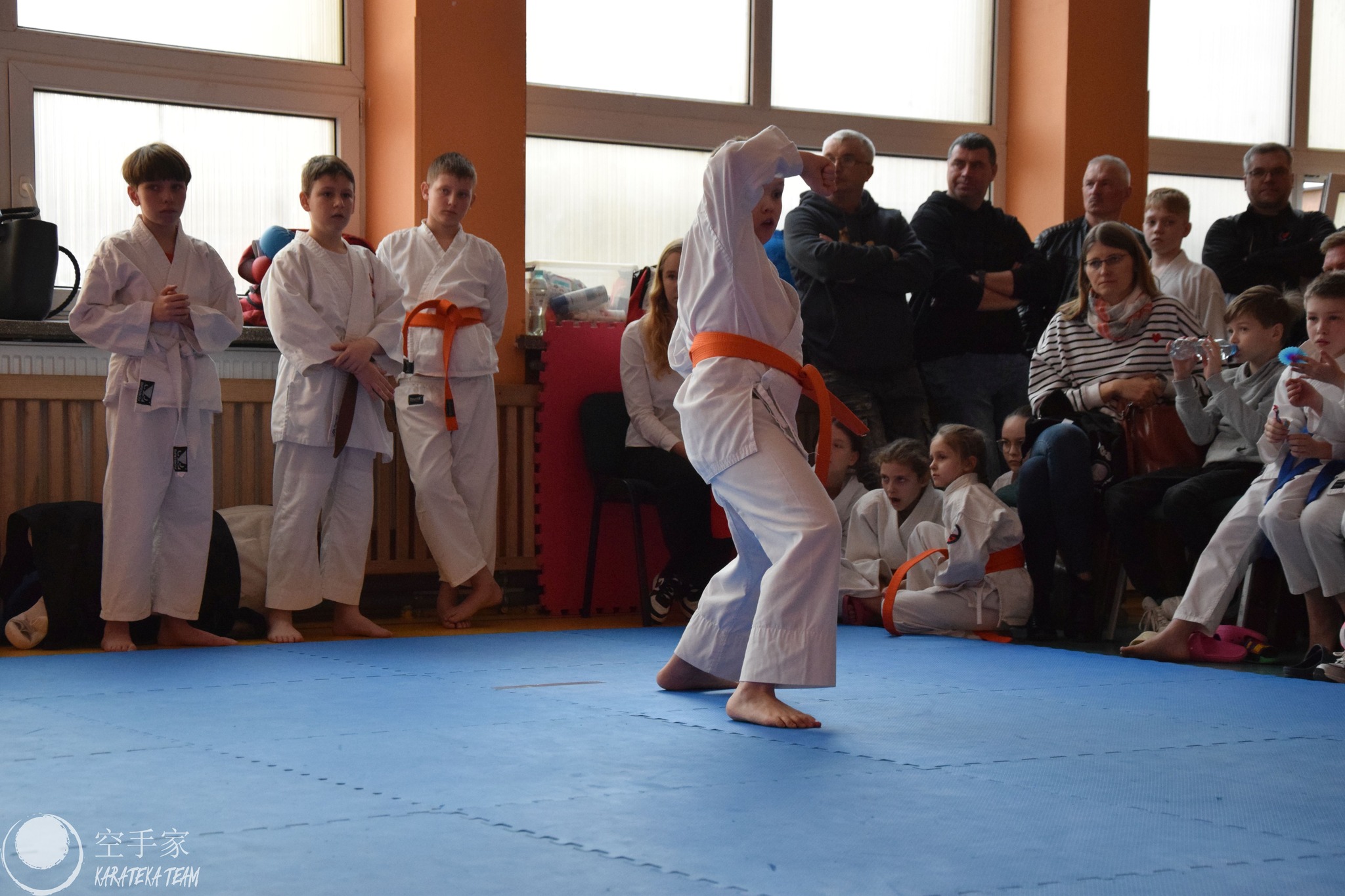 Młode Wilczki pokazały pazur!!!