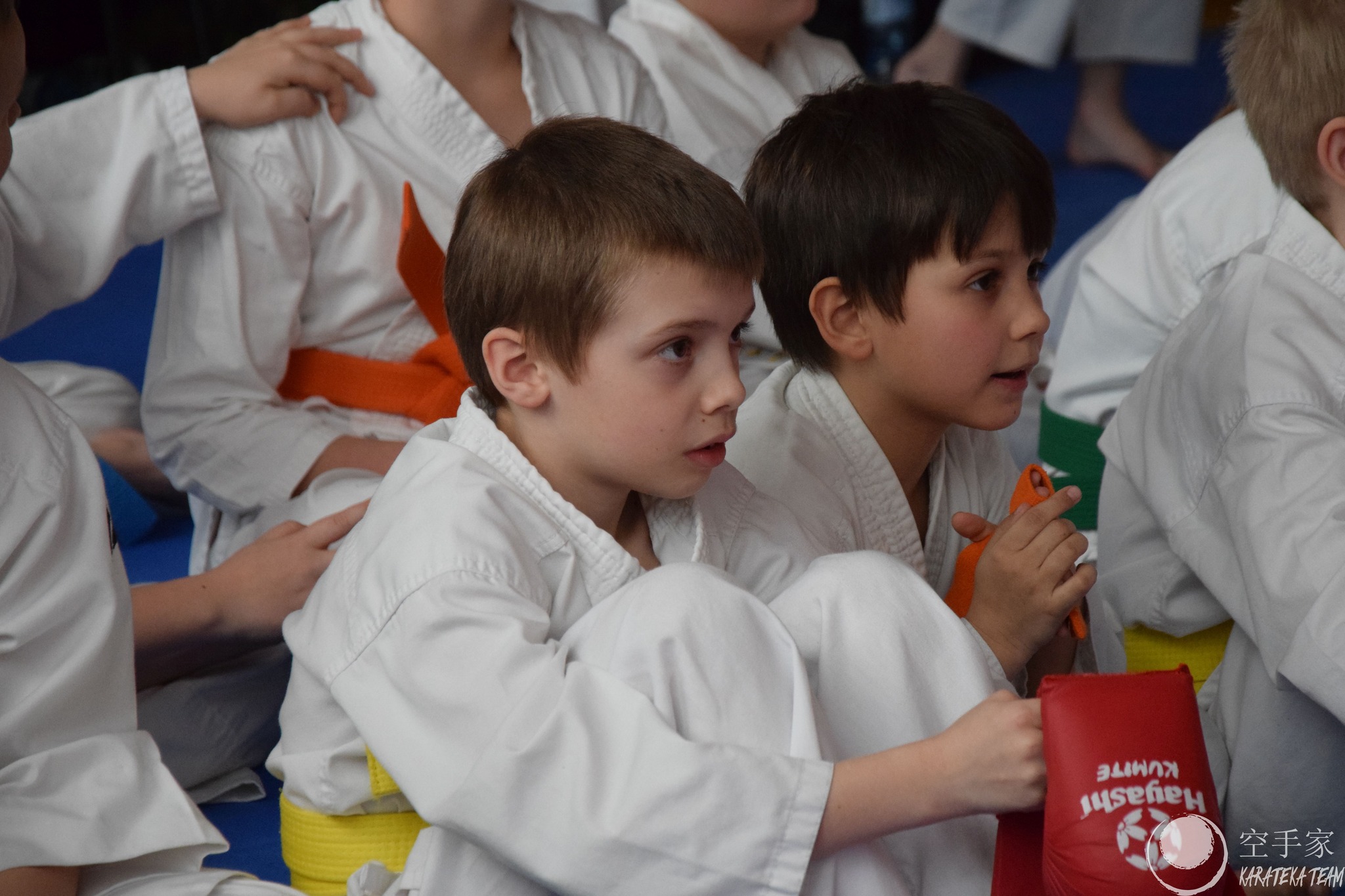 Młode Wilczki pokazały pazur!!!