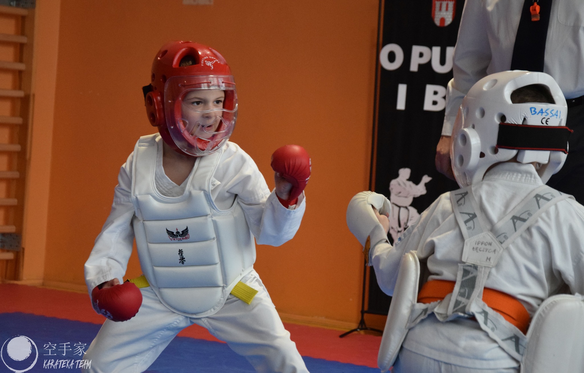 Młode Wilczki pokazały pazur!!!