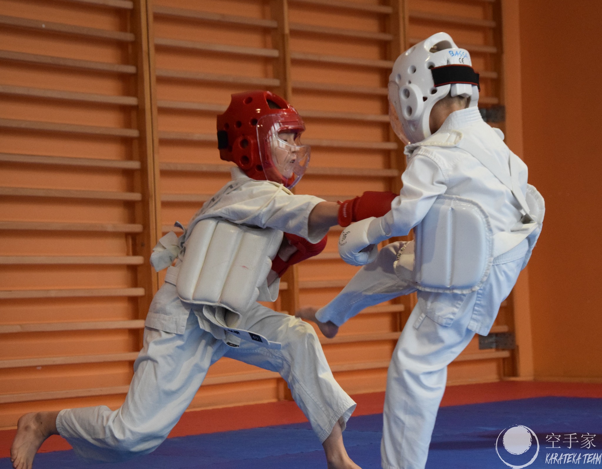 Młode Wilczki pokazały pazur!!!