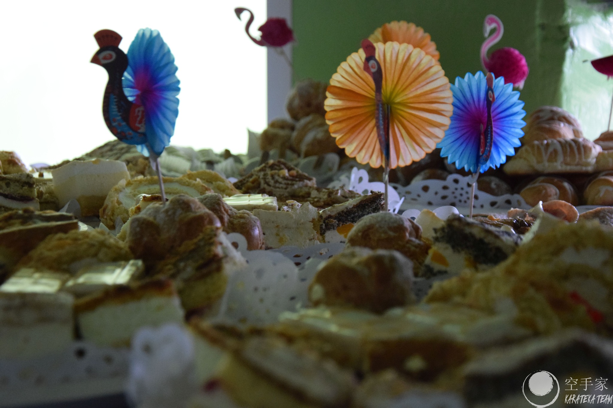 Młode Wilczki pokazały pazur!!!