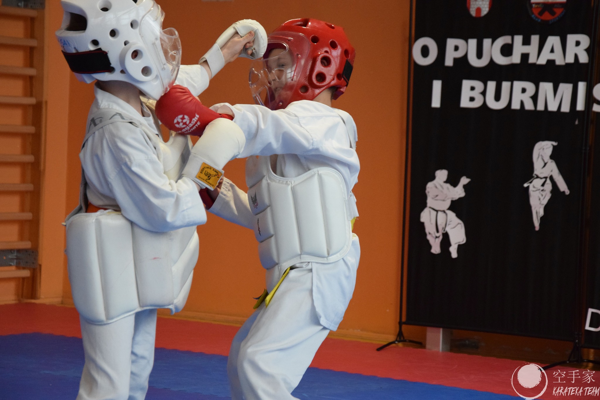 Młode Wilczki pokazały pazur!!!