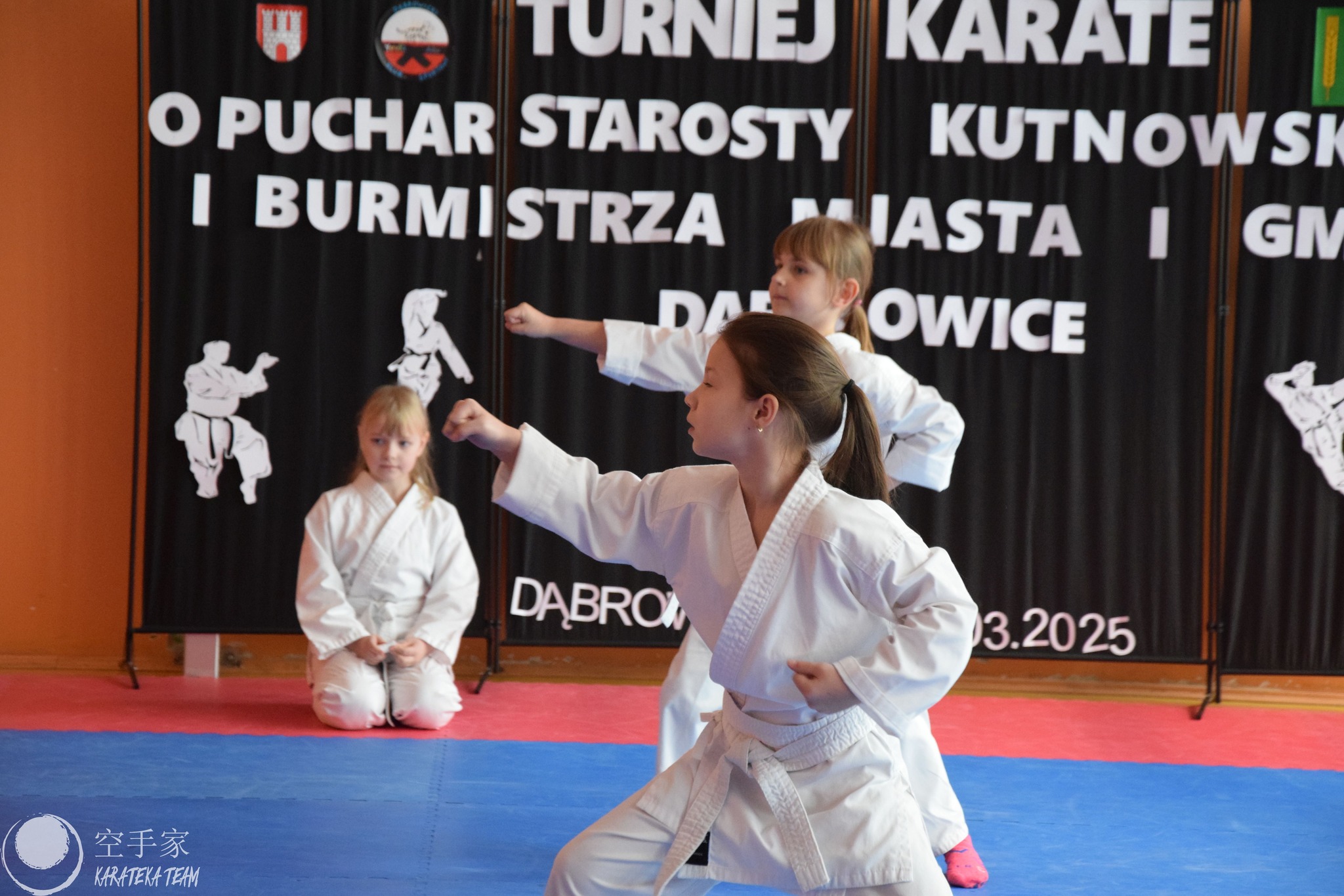 Młode Wilczki pokazały pazur!!!