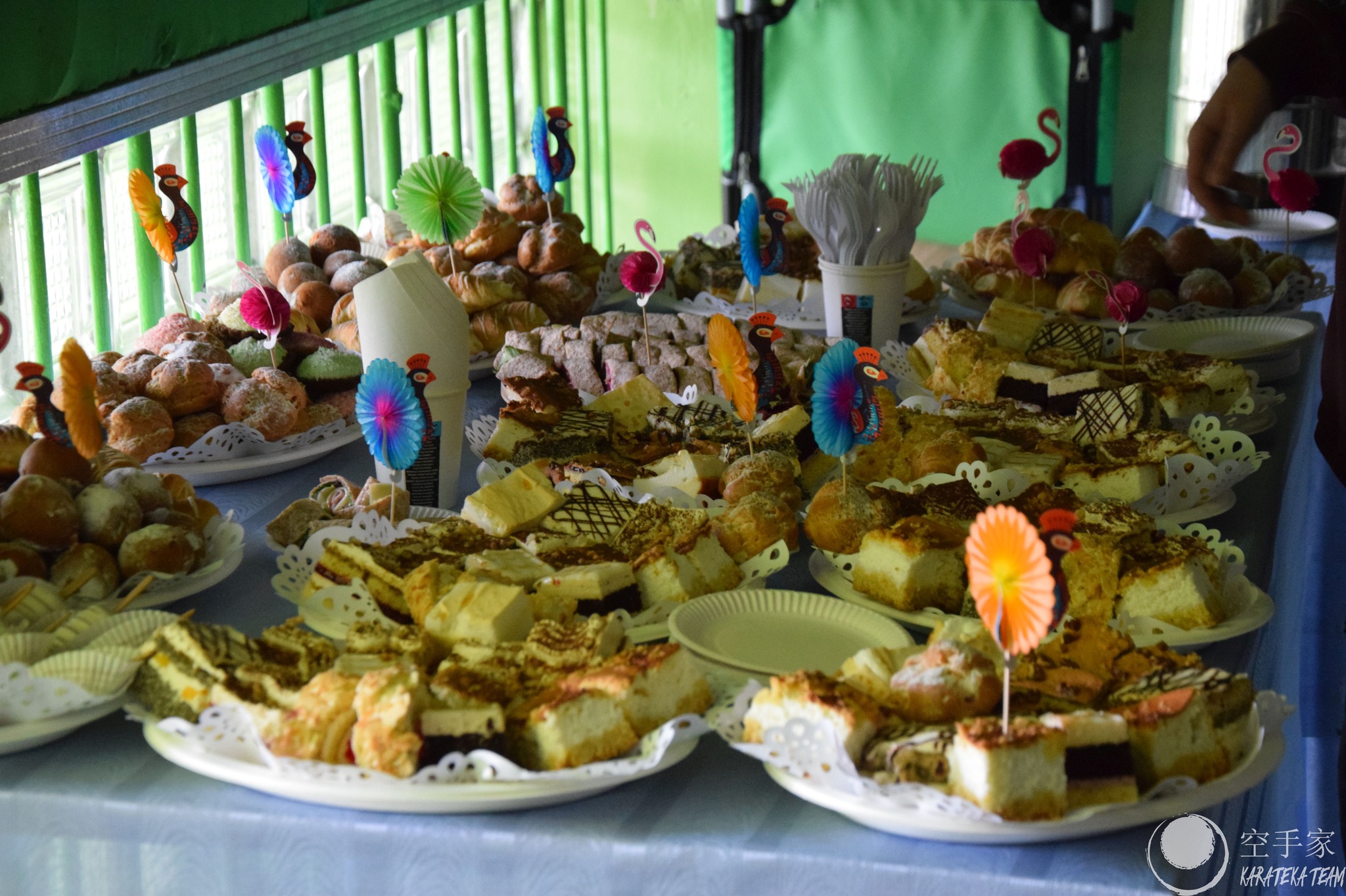 Młode Wilczki pokazały pazur!!!