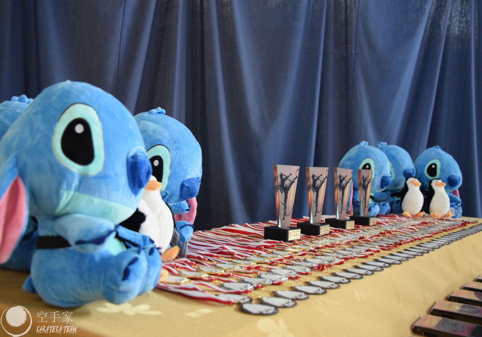 Młode Wilczki pokazały pazur