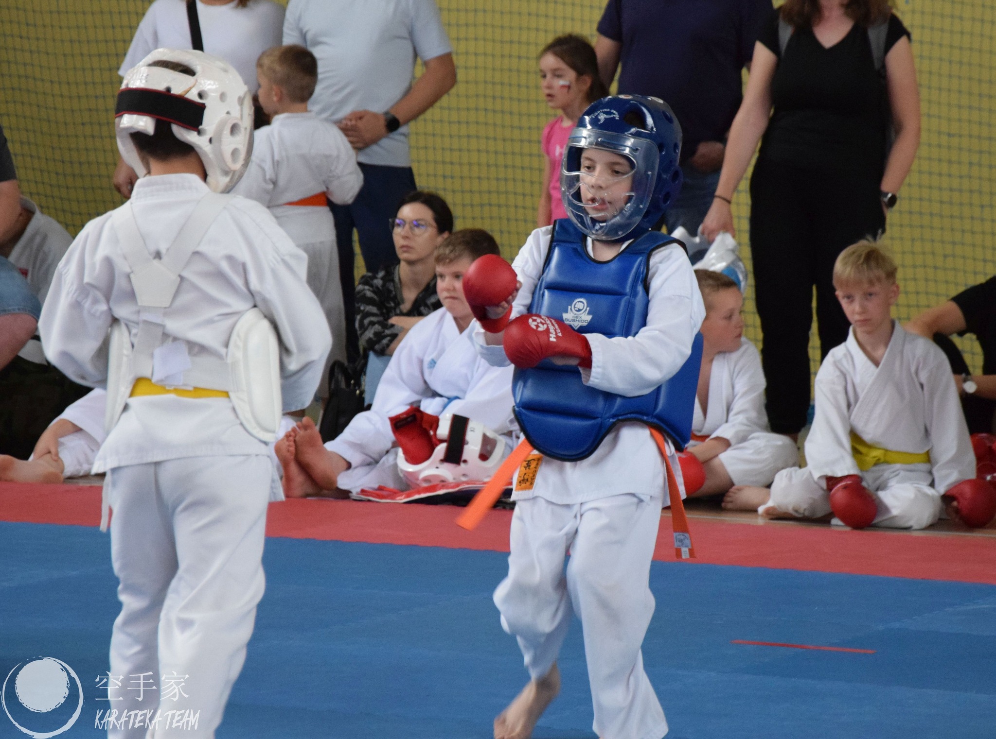 Młode Wilczki pokazały pazur