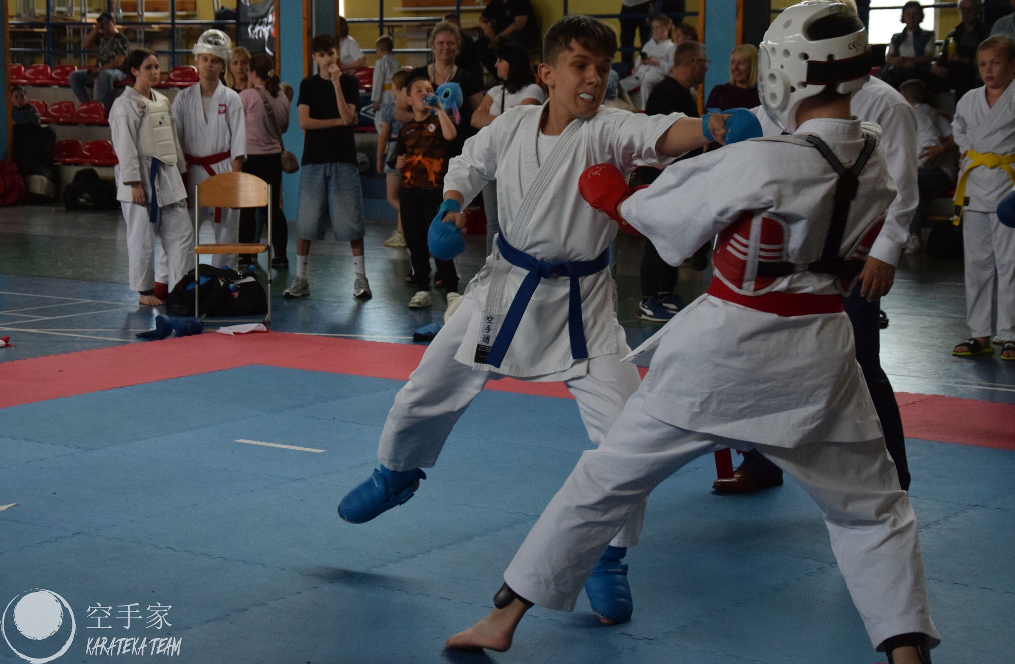 Młode Wilczki pokazały pazur