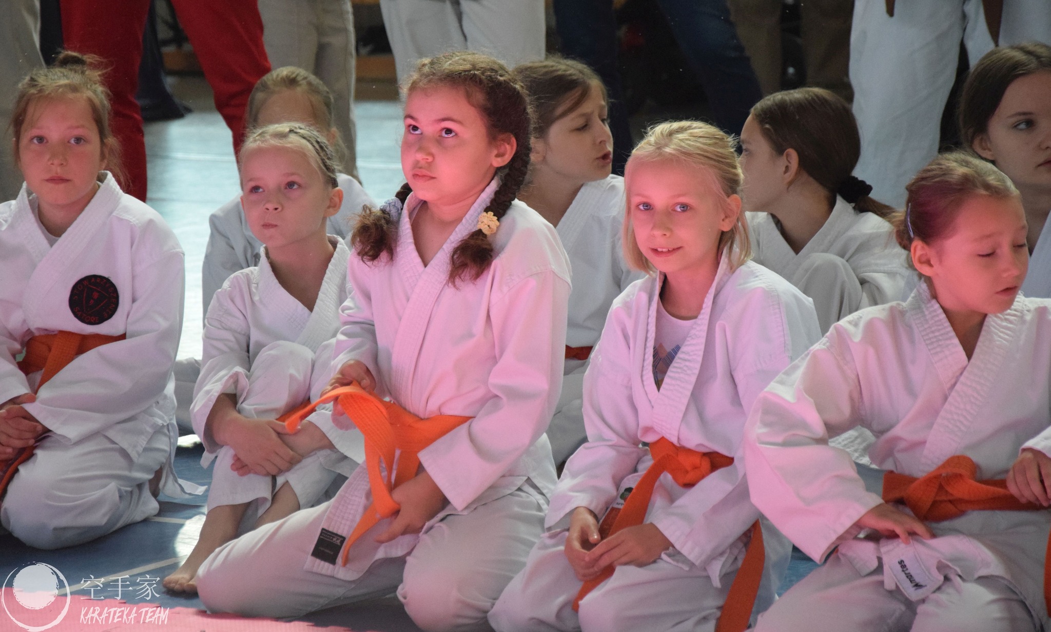 Młode Wilczki pokazały pazur