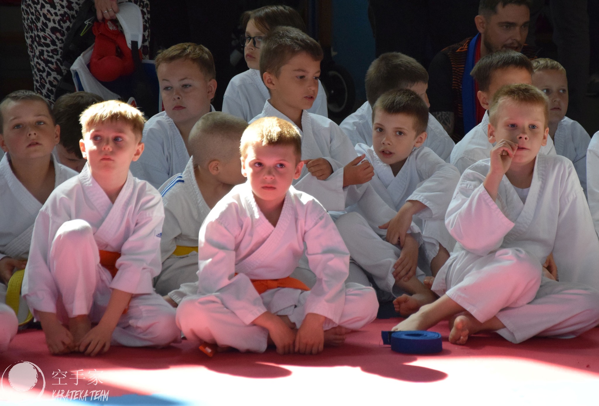 Młode Wilczki pokazały pazur