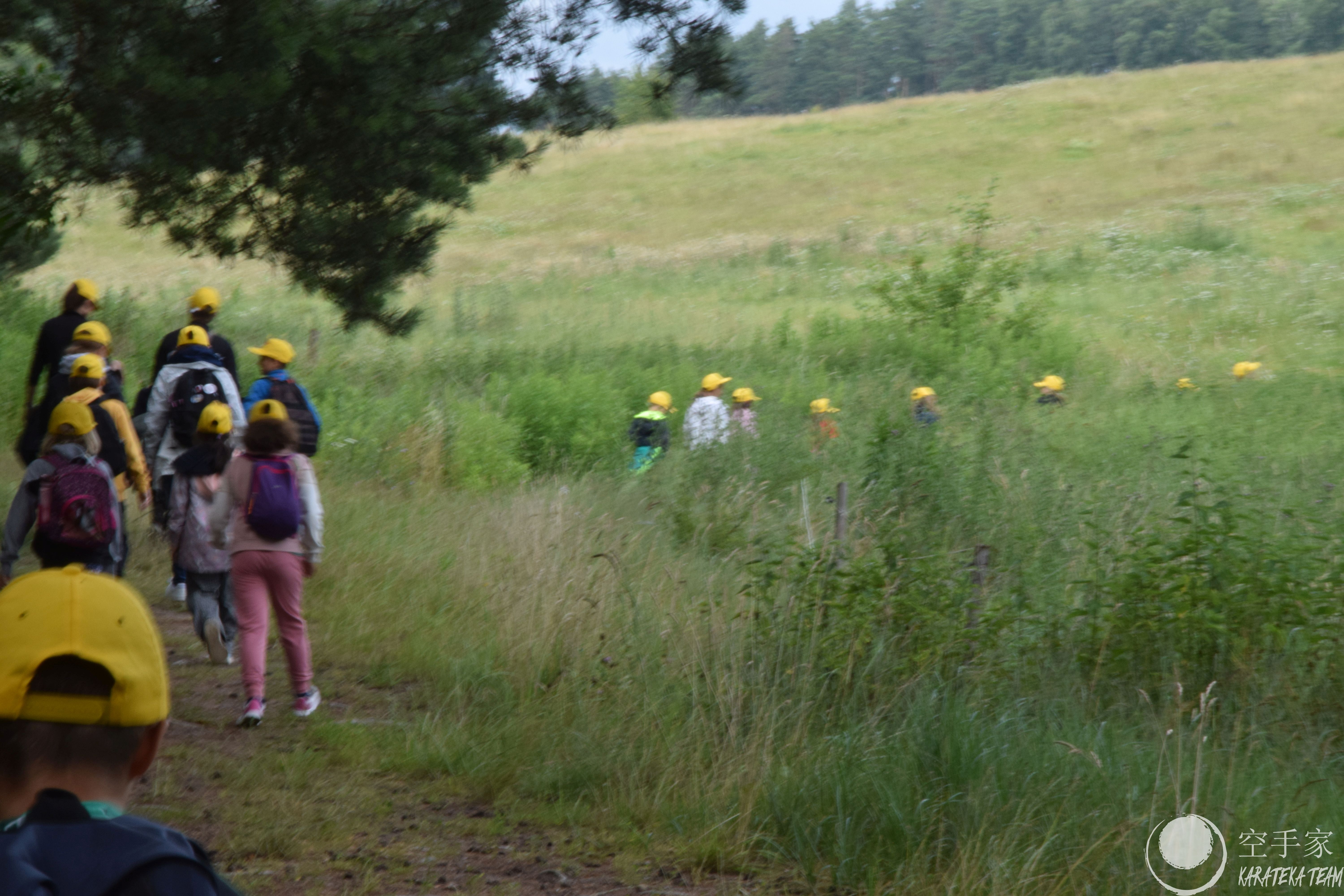 Treningi i regeneracja :)