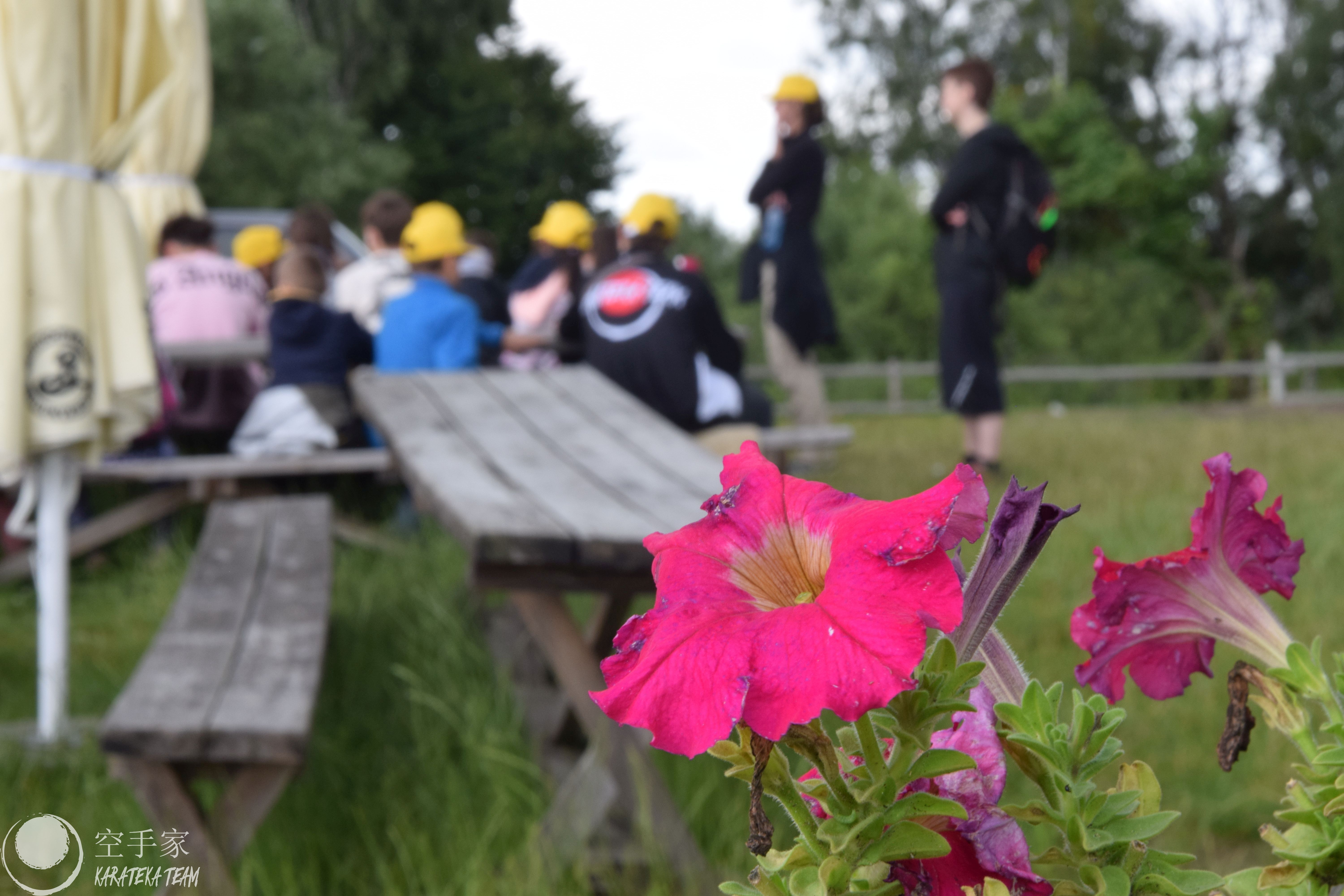 Treningi i regeneracja :)