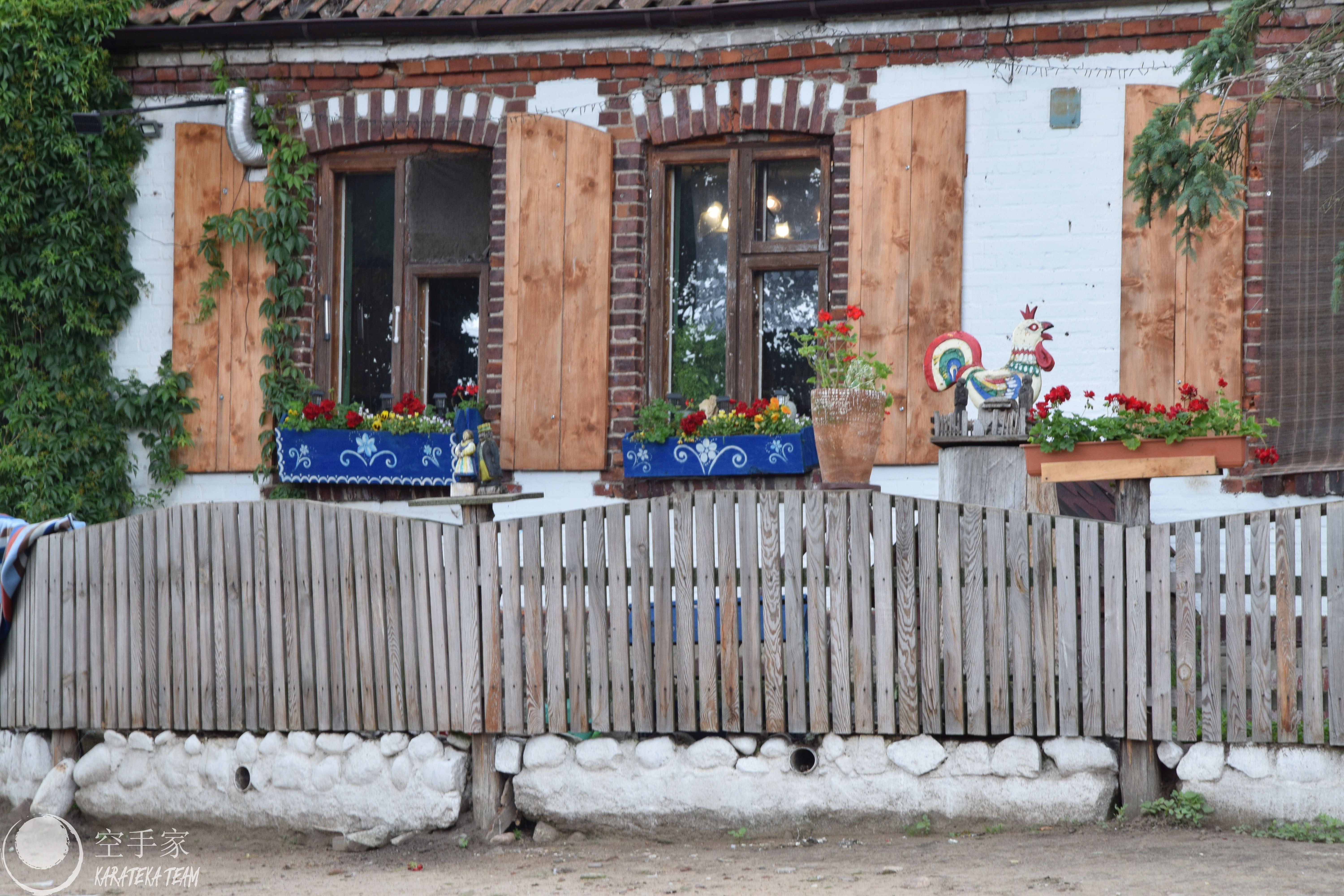 Treningi i regeneracja :)