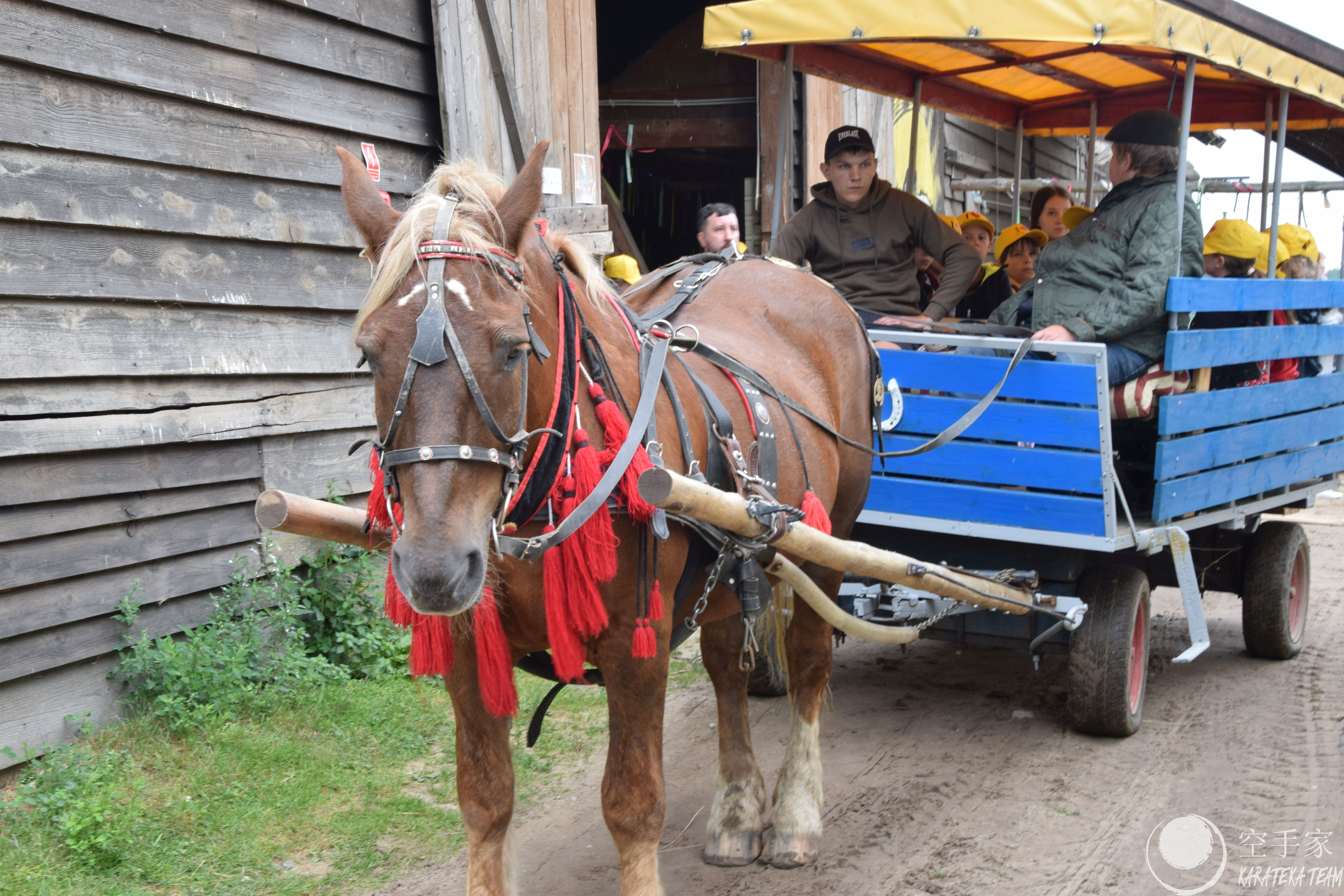 Treningi i regeneracja :)
