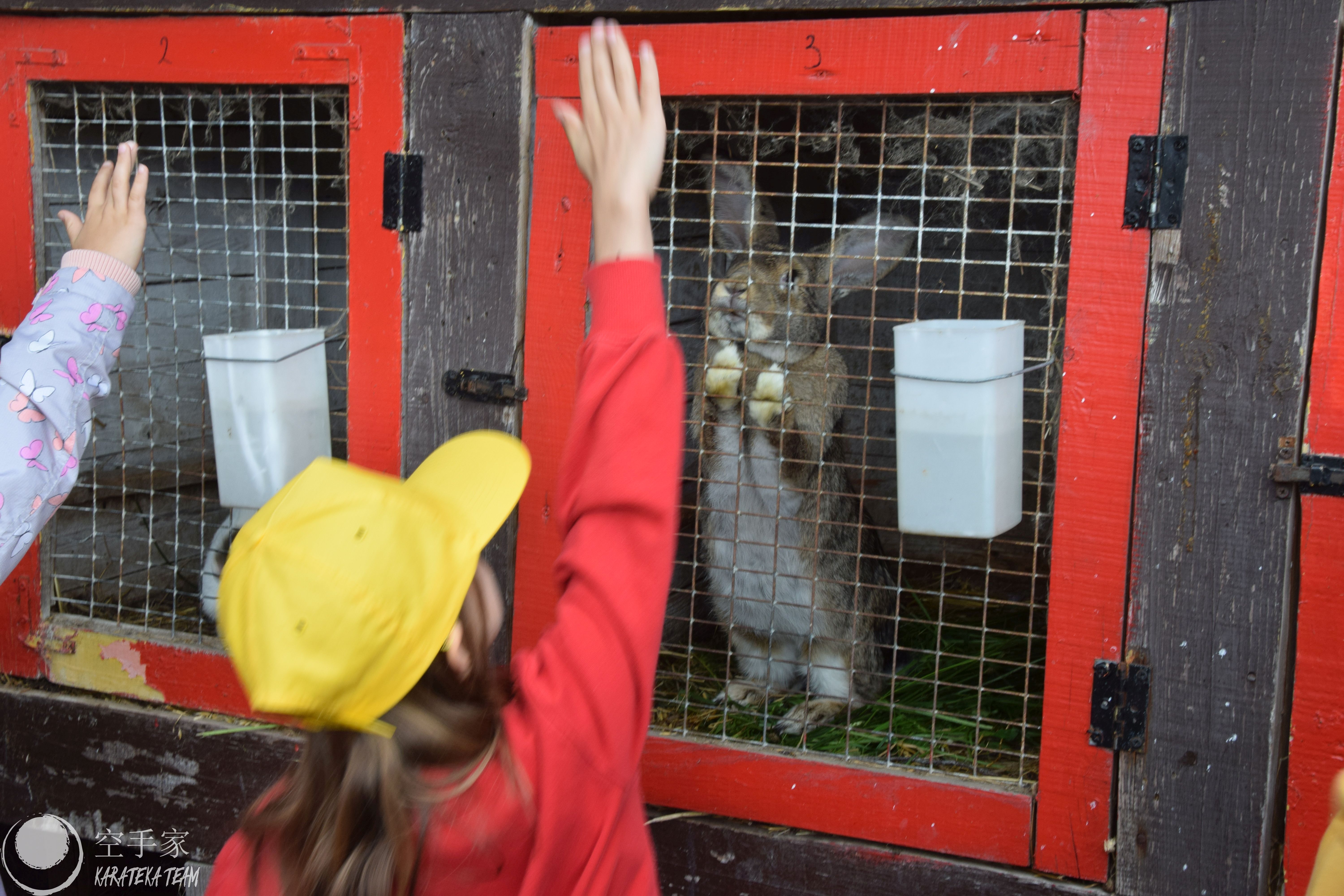 Treningi i regeneracja :)