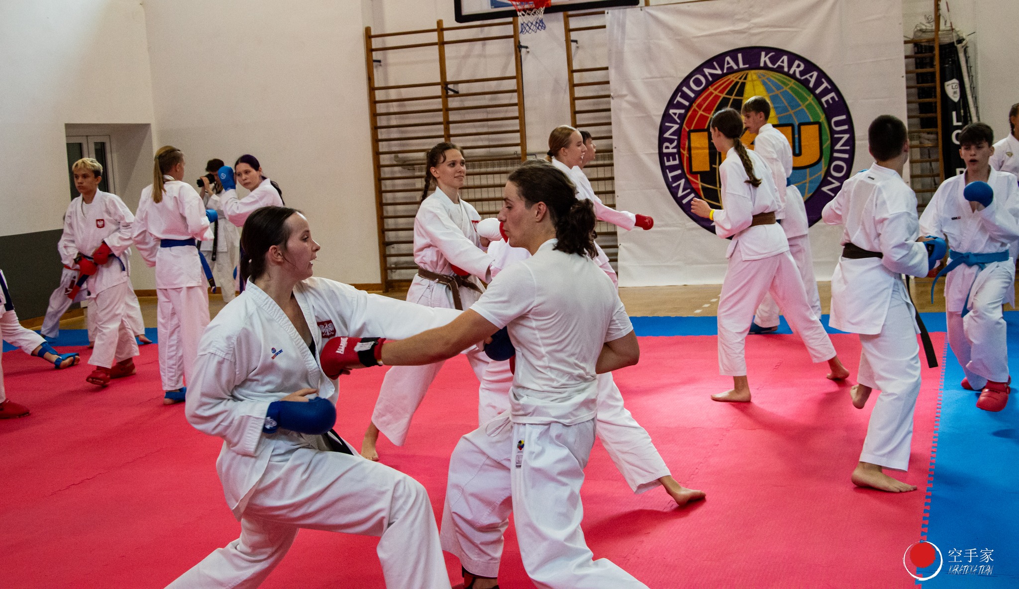 Zgrupowanie Kadry Narodowej