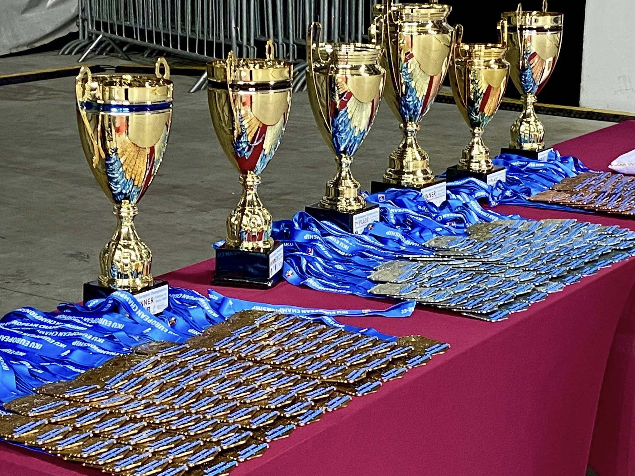 Mistrzostwa Europy – dzień 2