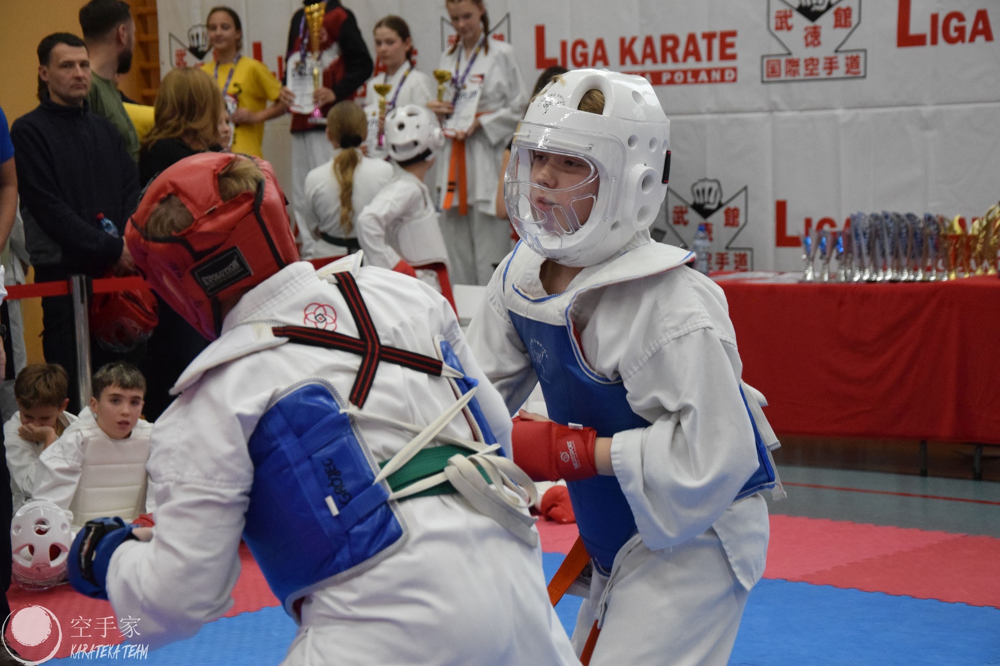 Młode Wilki pokazały pazur!