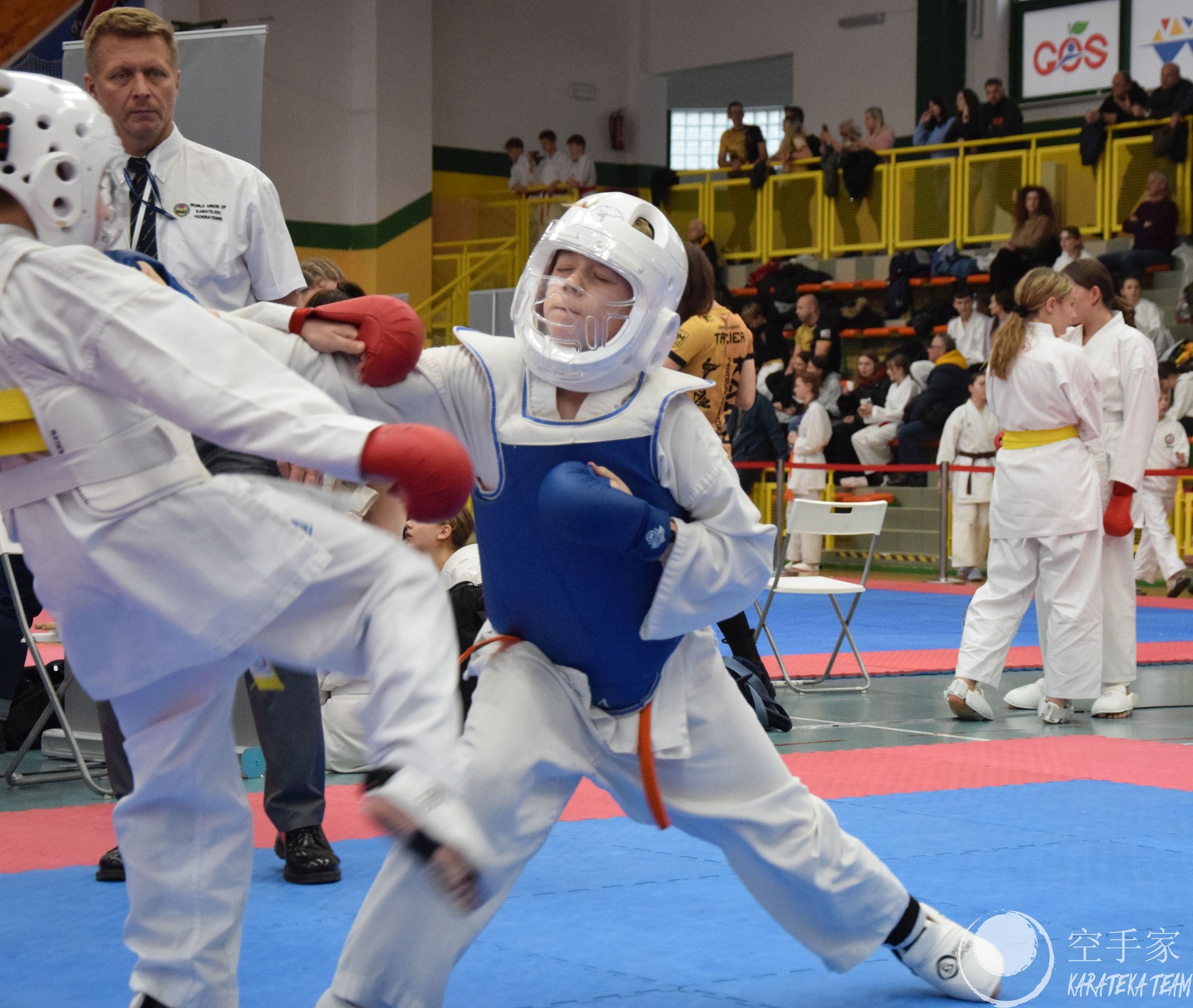 Młode Wilki pokazały pazur!