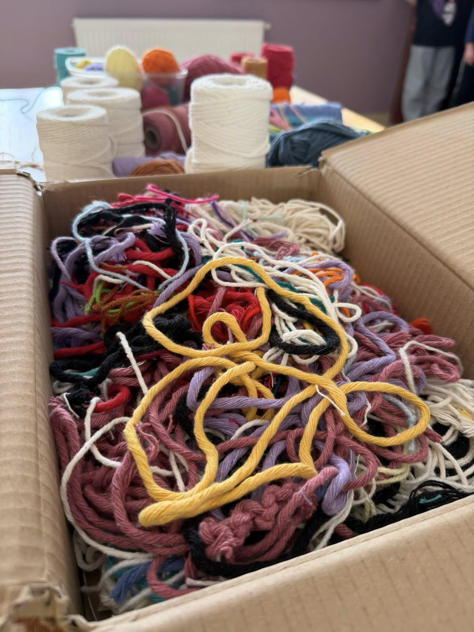 Kolejny dzień zimowej przygody